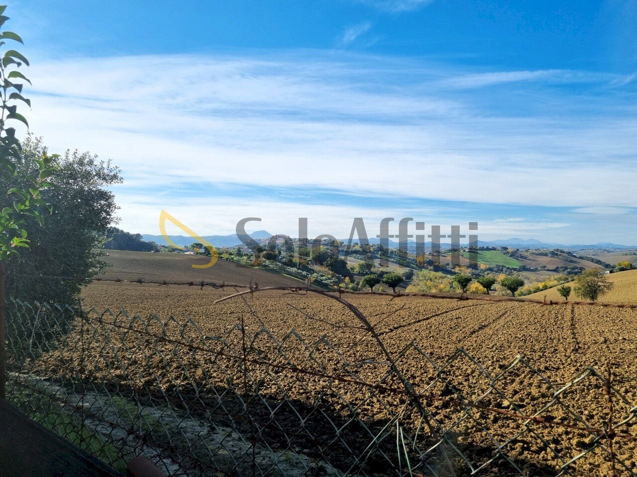 20241121_123629.jpg - Independent house Filottrano - photo 3