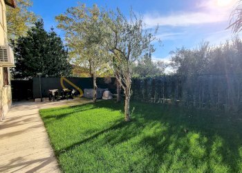 20241121_123749.jpg - Independent house Filottrano - photo 2