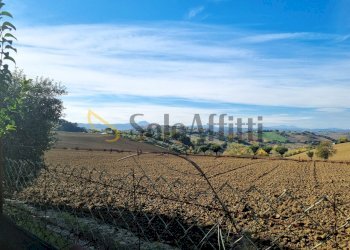 20241121_123629.jpg - Independent house Filottrano - photo 3