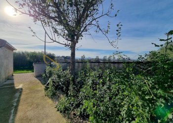 20241121_124934.jpg - Independent house Filottrano - photo 21