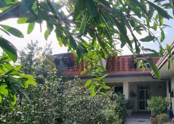 WhatsApp Image 2026-04-07 at 15.01.59 (1).jpeg - Bilocale Frosinone - foto 1