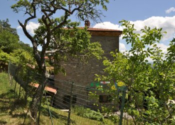 DSC_0048.JPG - Casale VIA MAESTRI, Valmozzola - foto 10