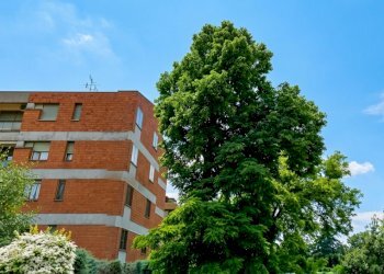 CONTESTO EST - Appartamento Bologna (zona San Donato) - foto 7