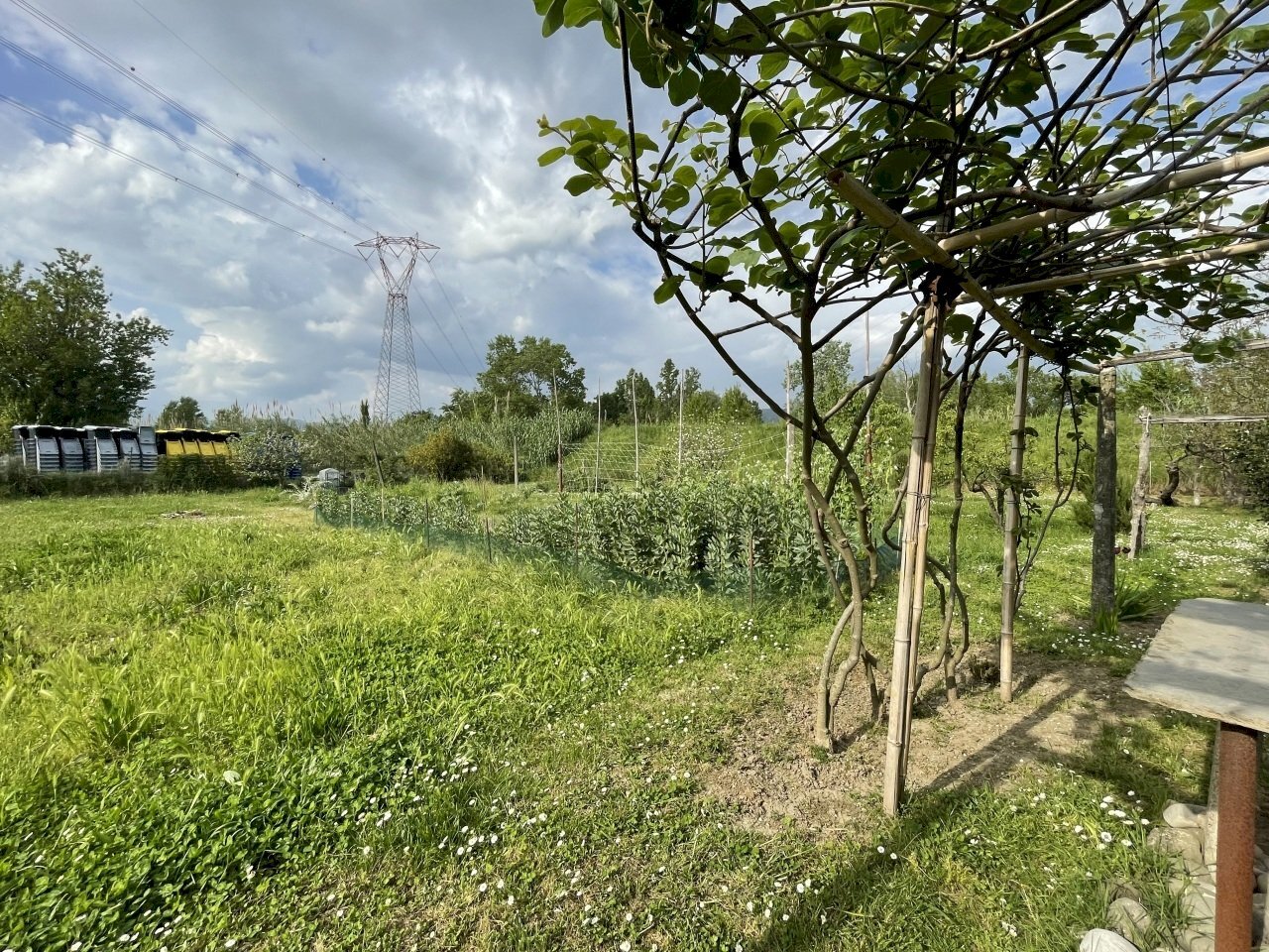 IMG_8648.jpeg - Agricultural land Arcola - photo 3