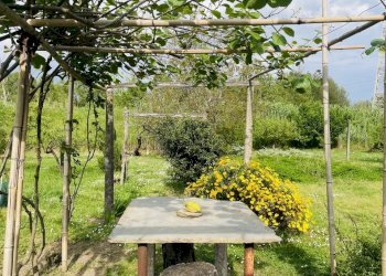 IMG_8645.jpeg - Terreno agricolo Arcola - foto 1