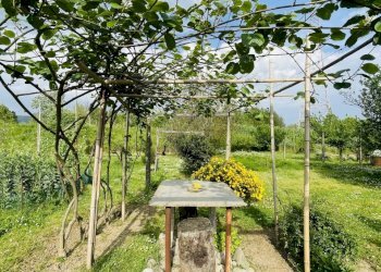 IMG_8646.jpeg - Terreno agricolo Arcola - foto 2