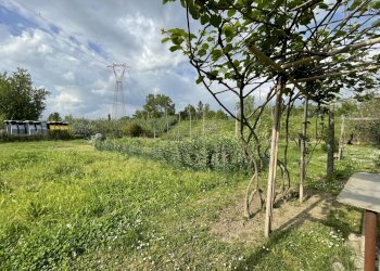 IMG_8648.jpeg - Terreno agricolo Arcola - foto 3