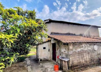 f9f80ade-910f-4a0e-afff-ac72c3505f67.jpg - Terreno agricolo Arcola - foto 4