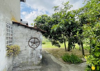 IMG_8651.jpeg - Terreno agricolo Arcola - foto 7