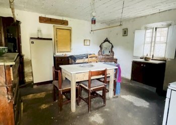 IMG_8652.jpeg - Terreno agricolo Arcola - foto 8