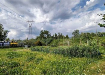 1c937879-6b55-48cf-a75b-f233334a97c4.jpg - Terreno agricolo Arcola - foto 12