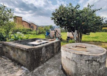 ecf5173c-2ddd-43d7-8d03-d1845169bbb7.jpg - Terreno agricolo Arcola - foto 16