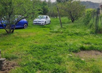 dfb61aa9-7fc8-4ae8-8d88-6e95d6f62c9e.jpg - Terreno agricolo Arcola - foto 17