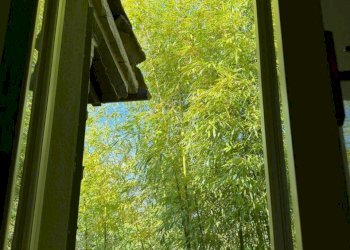 WhatsApp Image 2026-04-17 at 12.45.08.jpeg - Rustic Pontremoli - photo 17