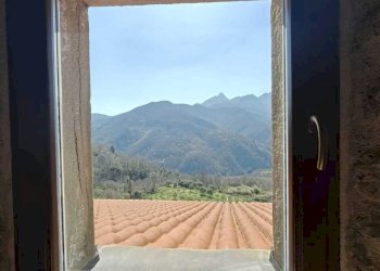 WhatsApp Image 2026-03-23 at 15.34.46 (8).jpeg - Terratetto - Terracielo Casola in Lunigiana - foto 22