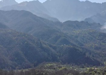 WhatsApp Image 2026-03-23 at 15.34.47 (1).jpeg - Terratetto - Terracielo Casola in Lunigiana - foto 26