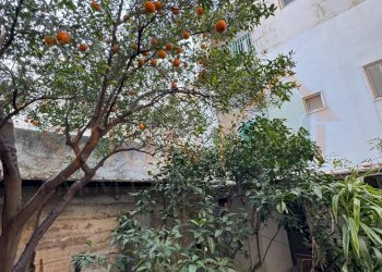 IMG_4485.JPG.jpg - Portion of a house Via Umberto I, Monopoli - photo 25