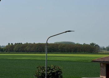 viste - Monolocale Via Mario Cesari 6, Galliera - foto 15