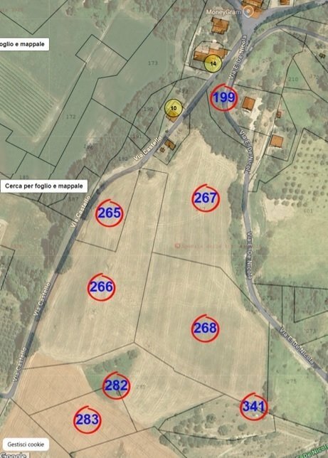 TERRENI VISTA.jpg - Rustico Via Castello 45, Monte San Pietro - foto 3