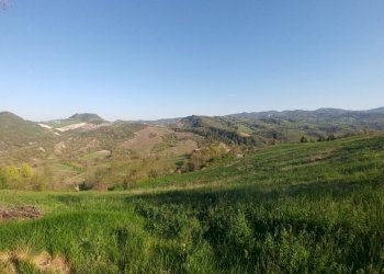 PODERE Monte San Pietro (19).jpg - Rustico Via Castello 45, Monte San Pietro - foto 20