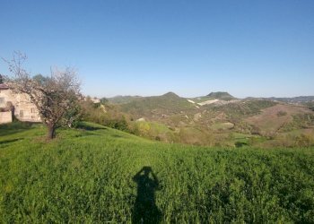 PODERE Monte San Pietro (21).jpg - Rustico Via Castello 45, Monte San Pietro - foto 22