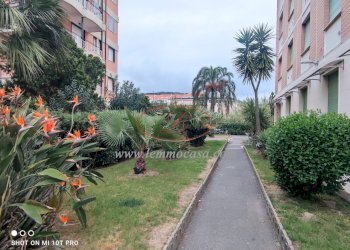 giardino condominiale - Monolocale Via Aurelia 84, San Bartolomeo al Mare - foto 1