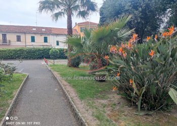 Monolocale Via Aurelia 84, San Bartolomeo al Mare - foto 3