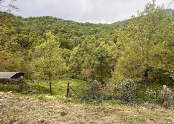 IMG_1621.JPEG - Rustic Strada Pessina - Batresca 333, Ponzone - photo 7