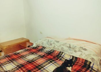 Rif 1864(Copy16).jpg - Casa indipendente Varazze - foto 17