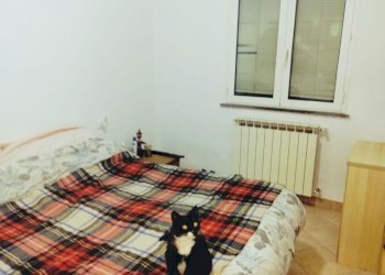 Rif 1864(Copy29).jpg - Casa indipendente Varazze - foto 18