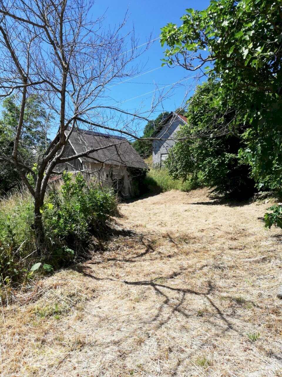 WhatsApp Image 2021-07-02 at 12.02.43 (2).jpeg - Terratetto - Terracielo Località Ghiggeri, Varese Ligure - foto 3