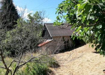 WhatsApp Image 2021-07-02 at 12.02.43 (3).jpeg - Terratetto - Terracielo Località Ghiggeri, Varese Ligure - foto 4