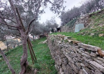 San Pantaleo (16).jpg - Trilocale Via San Pantaleo, Genova (zona Staglieno) - foto 30