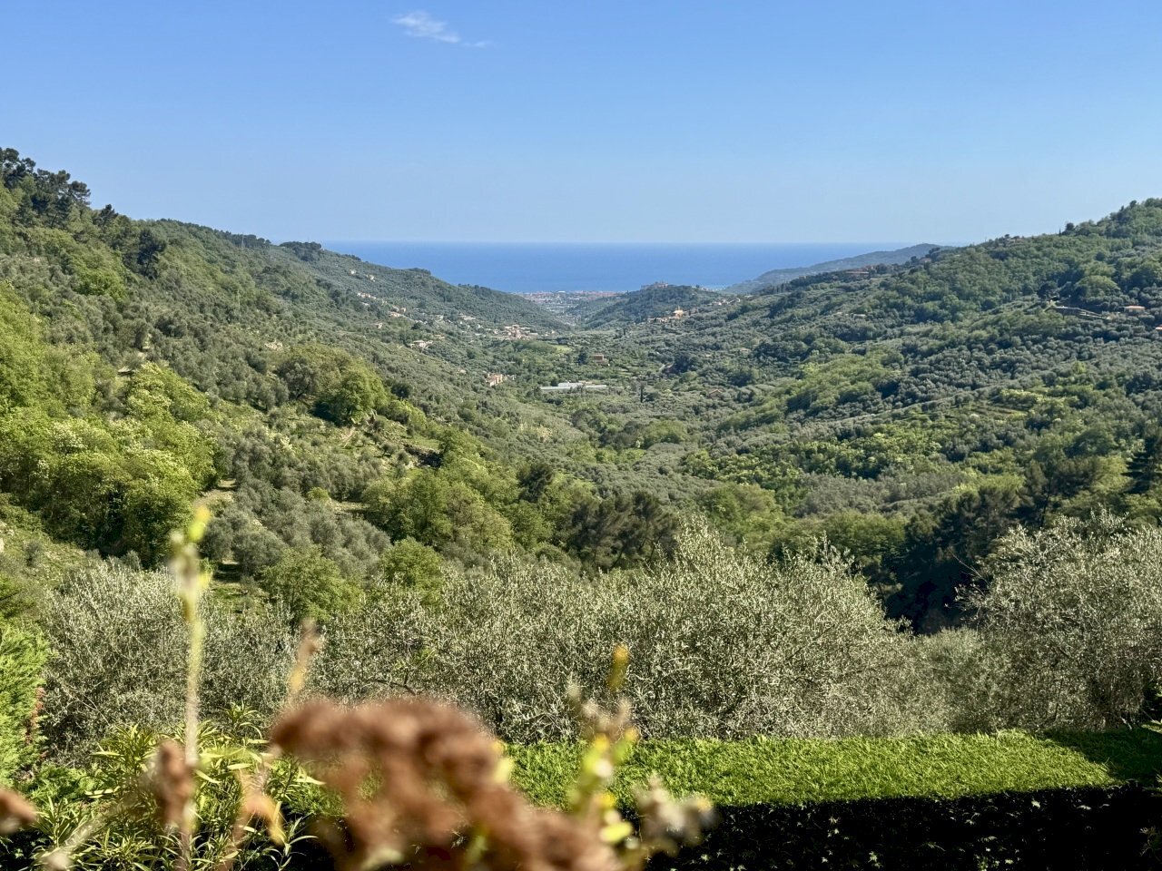 IMG_6468.jpeg - Bilocale Gli Olivi 4c, Diano Arentino - foto 1