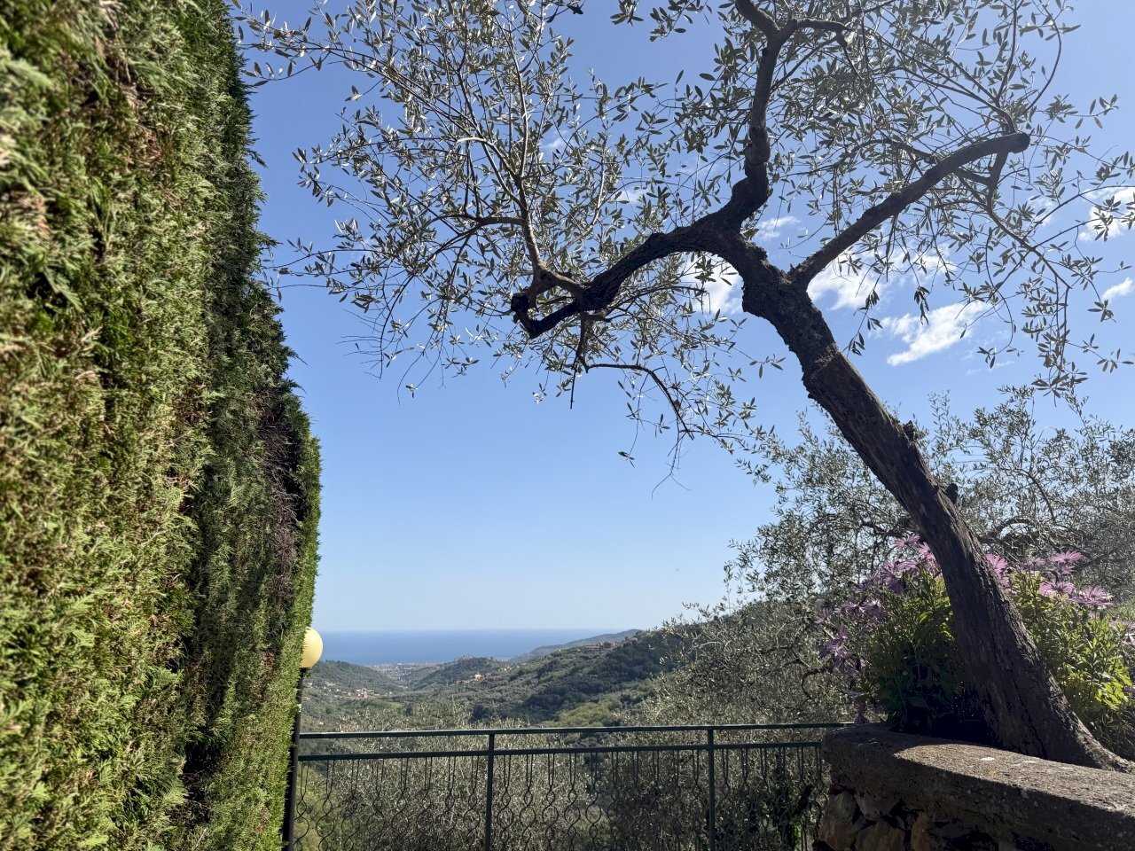 IMG_6494.jpeg - Bilocale Gli Olivi 4c, Diano Arentino - foto 2