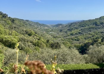 IMG_6468.jpeg - Bilocale Gli Olivi 4c, Diano Arentino - foto 1