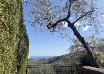 IMG_6494.jpeg - Bilocale Gli Olivi 4c, Diano Arentino - foto 2