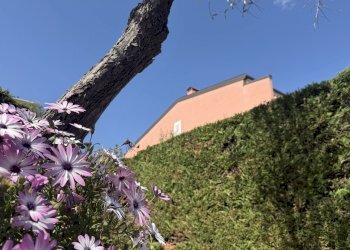 IMG_6461.jpeg - Bilocale Gli Olivi 4c, Diano Arentino - foto 20