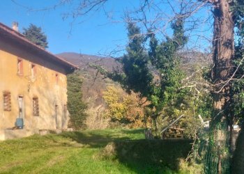 terreno - Villa Via Campasselva, frazione Santomato, Pistoia - foto 9