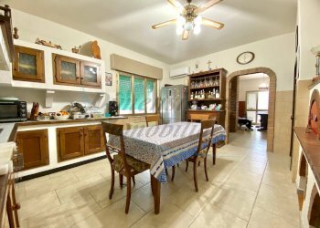 photo_2026-02-03_12-12-54.jpg - Appartamento Piazza Europa, Castagneto Carducci - foto 4