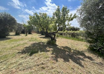 23.jpeg - Villa Via Della Torretta, Guidonia Montecelio - foto 30