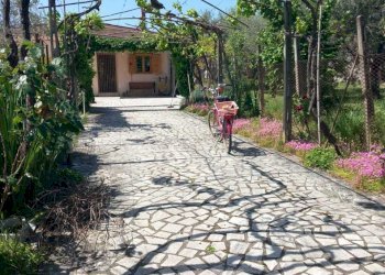 14.jpeg - Villa Strada San Pastore, Tivoli - foto 14