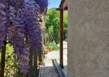 15.jpeg - Villa Strada San Pastore, Tivoli - foto 15