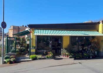 fronte.jpg - Piante e Fiori Via Cerisola, Rapallo - foto 1