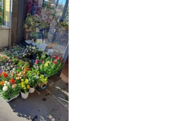 esterno4.jpg - Piante e Fiori Via Cerisola, Rapallo - foto 4