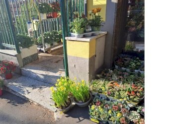 esterno6.jpg - Piante e Fiori Via Cerisola, Rapallo - foto 6