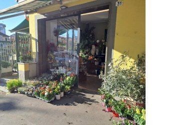 esterno8.jpg - Piante e Fiori Via Cerisola, Rapallo - foto 8