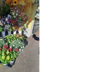 esterno9.jpg - Piante e Fiori Via Cerisola, Rapallo - foto 9