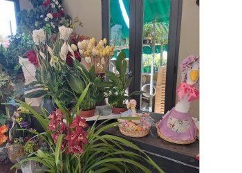 esterno12.jpg - Piante e Fiori Via Cerisola, Rapallo - foto 12