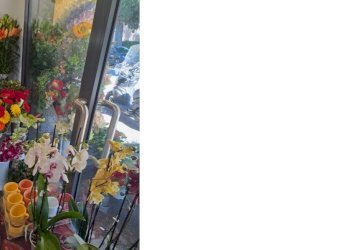 esterno13.jpg - Piante e Fiori Via Cerisola, Rapallo - foto 13